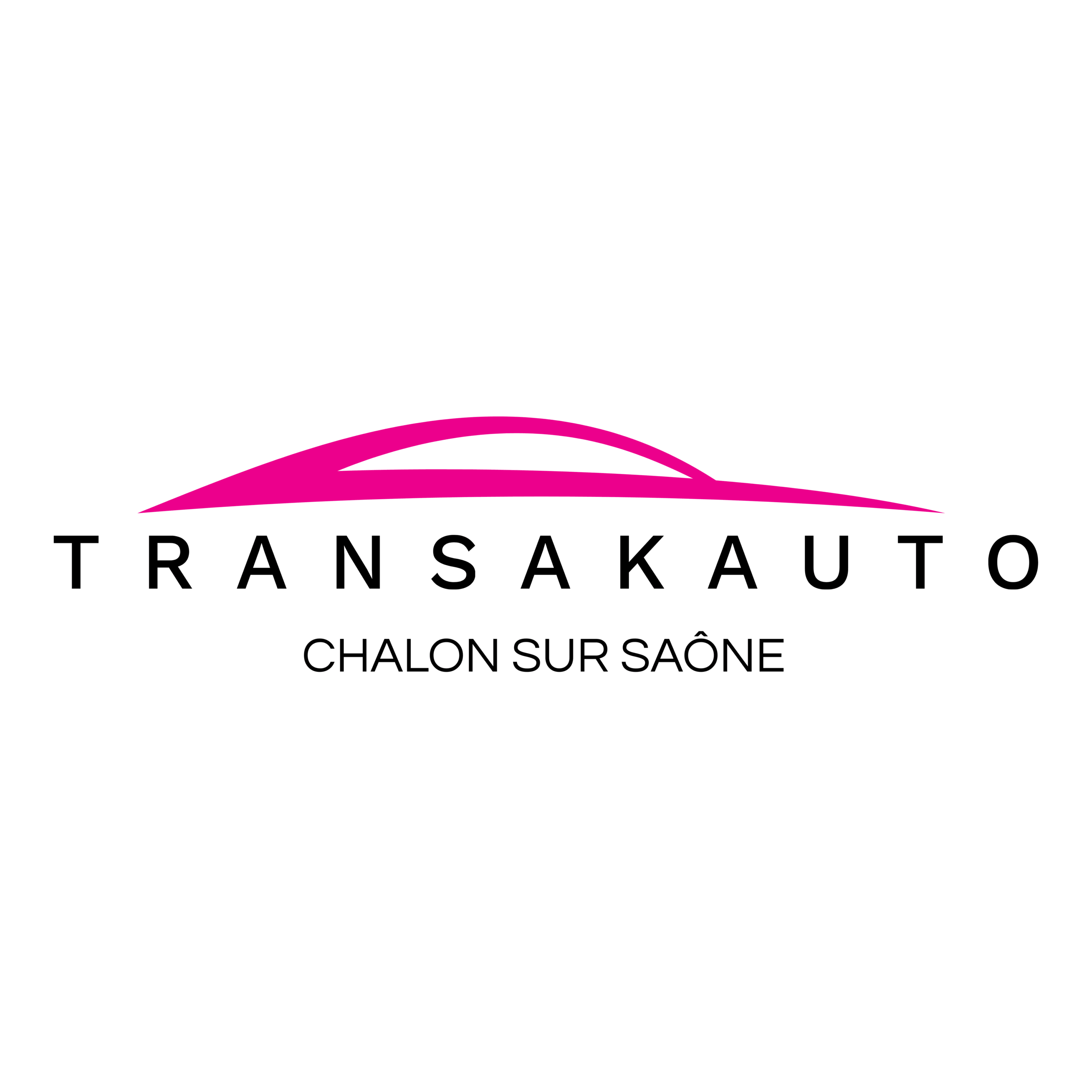 Logo Transakauto